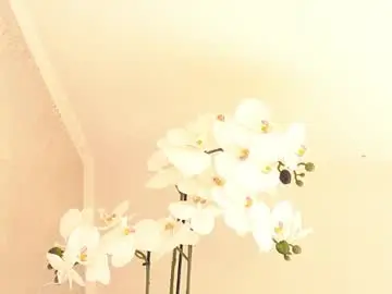 Chaturbate Free Porn Cam of cassiemiles