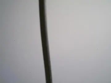 Chaturbate Sex Cam of black_tentationx