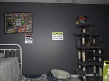 Chaturbate Live Sex Cam of sydaffect