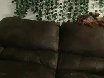 Chaturbate Live Sex Cam of bigdicktrannynicole