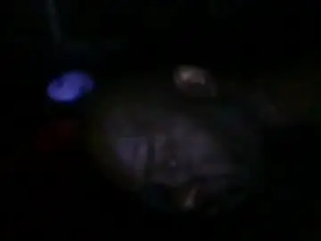Chaturbate Free Live Porn of blackteddybear