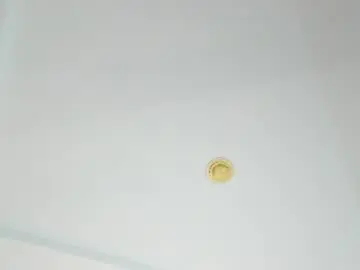 Chaturbate Free Live Porn of adelina_bliss