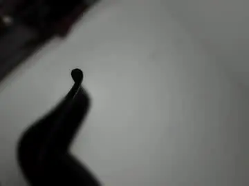 Chaturbate Best live sex cam show of transnextdoor_