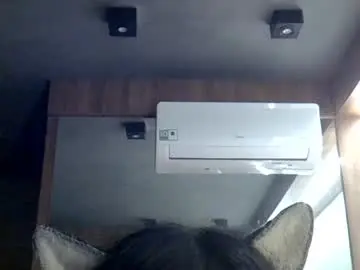 Chaturbate Adult Webcam of skinnykittencam