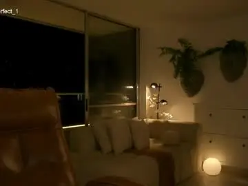 Chaturbate Free Live Porn of nobodyisperfect___