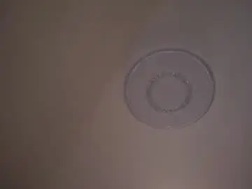 Chaturbate Free Porn Cam of gwennielove