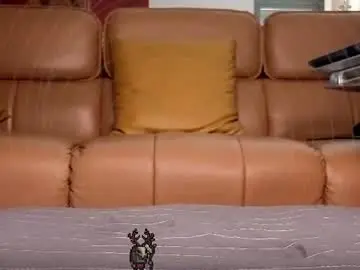 Chaturbate Sex Cam of sshadowmaster
