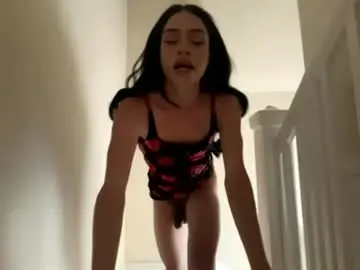 Chaturbate Free Porn Cam of dynasty313