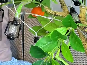Chaturbate Best Webcam of sinfulfairy