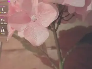 Chaturbate Adult Webcams of vickyvalencia2
