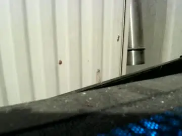 Chaturbate Live Sex of ynghotgerman92