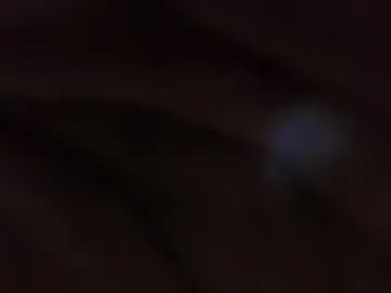 Chaturbate Private Sex Chat of sweet_wallen