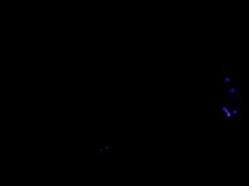 Chaturbate Free Porn Cam of axell_cross2