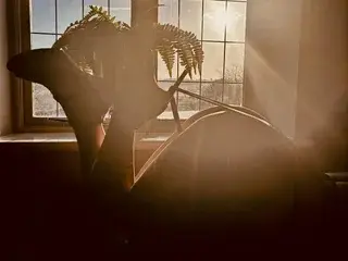 Streamate Live Porn of KatieCarterX