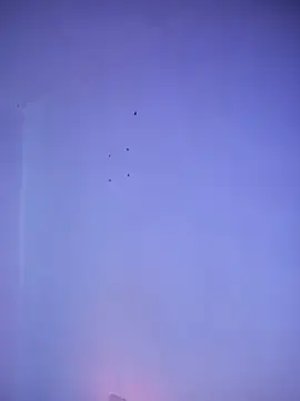 Stripchat Free Porn Cam of _aish_a