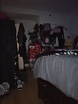Stripchat Sex Chat of shecockts