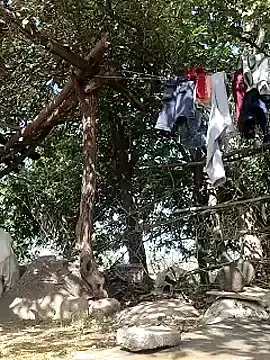 Stripchat Live Sex Cam of Na_shreya