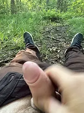 Stripchat Watch Live Sex Cams of GeilerHSVFAN1989