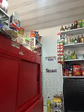 Stripchat Live Sex Cam of Sara_fun