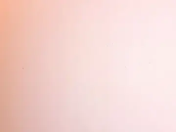 Stripchat Best live sex cam show of melody-rouss