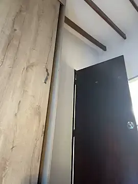 Stripchat Adult Webcam of Arilw