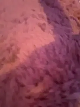 Stripchat Adult Webcam of Terribletabby