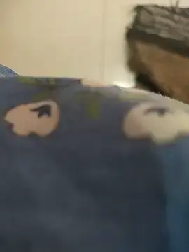 Stripchat Live Porn of COUPLLE_VILLAGE