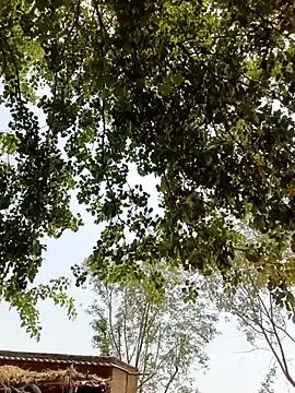 Stripchat Private Sex Chat of Rs_sonam