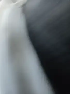 Stripchat Private Sex Chat of LiveCam88