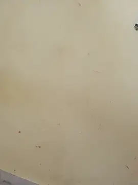 Stripchat Best Webcam of sexy_shital