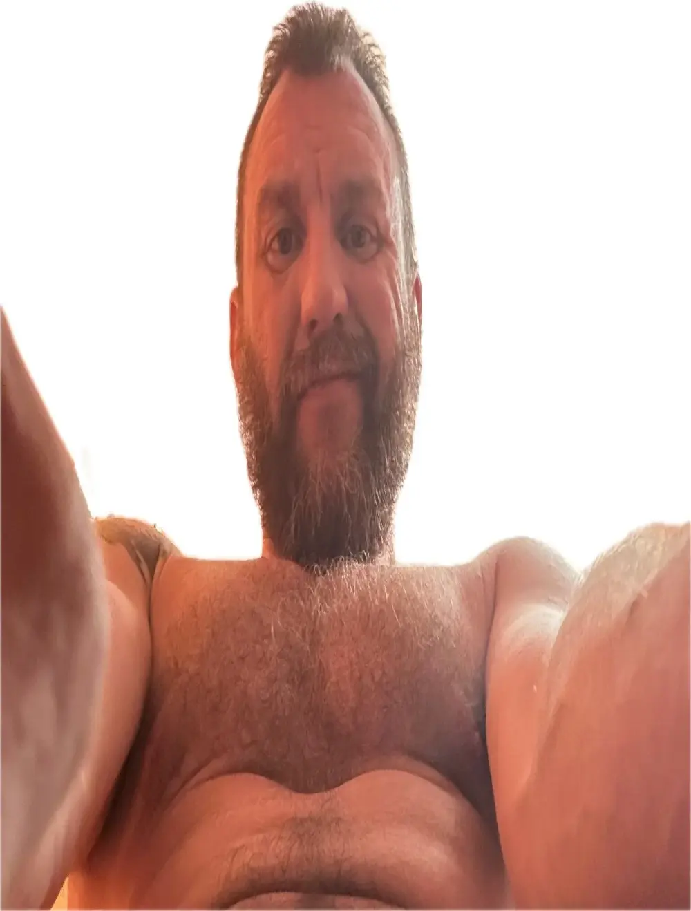 HouseOfHans