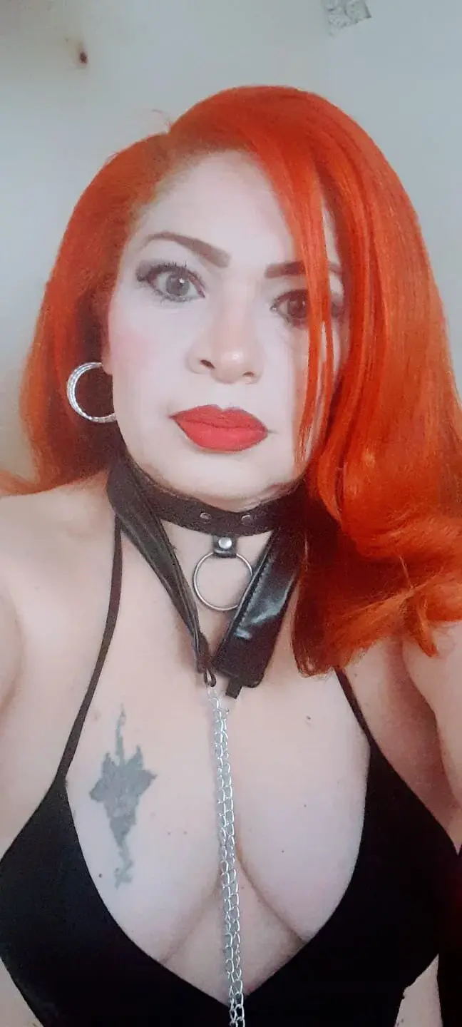 dairia_meraky