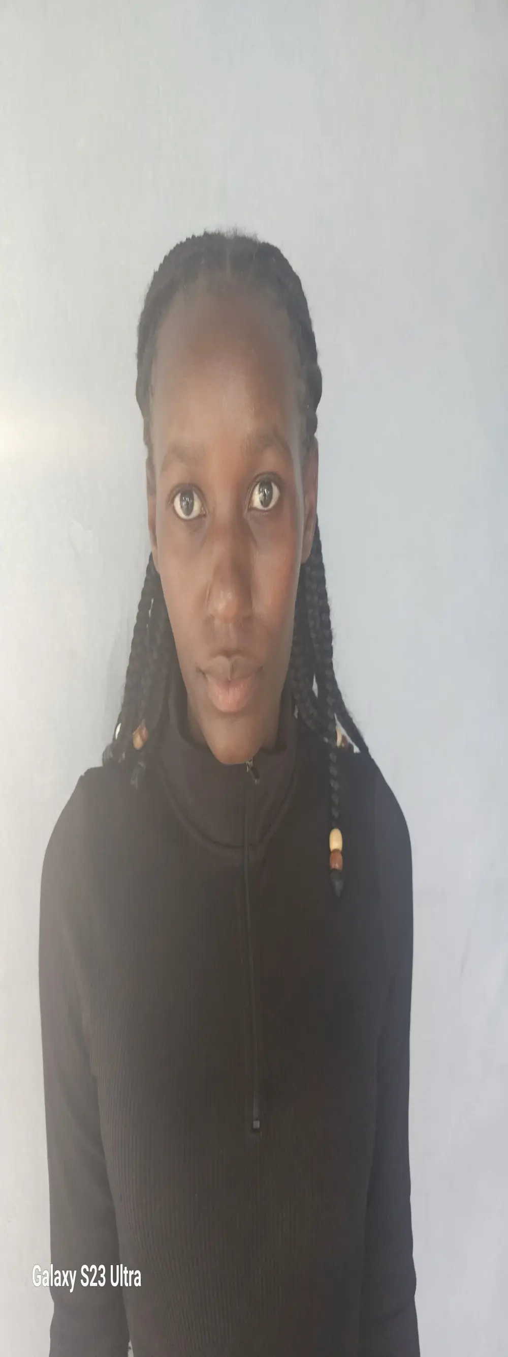Slim_dolly
