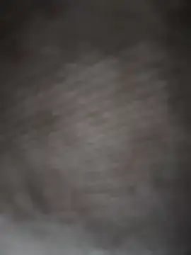 Stripchat Live Sex Cam of NikaMur